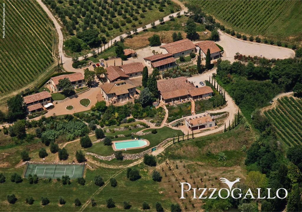 Tenuta Pizzogallo Амелія Екстер'єр фото