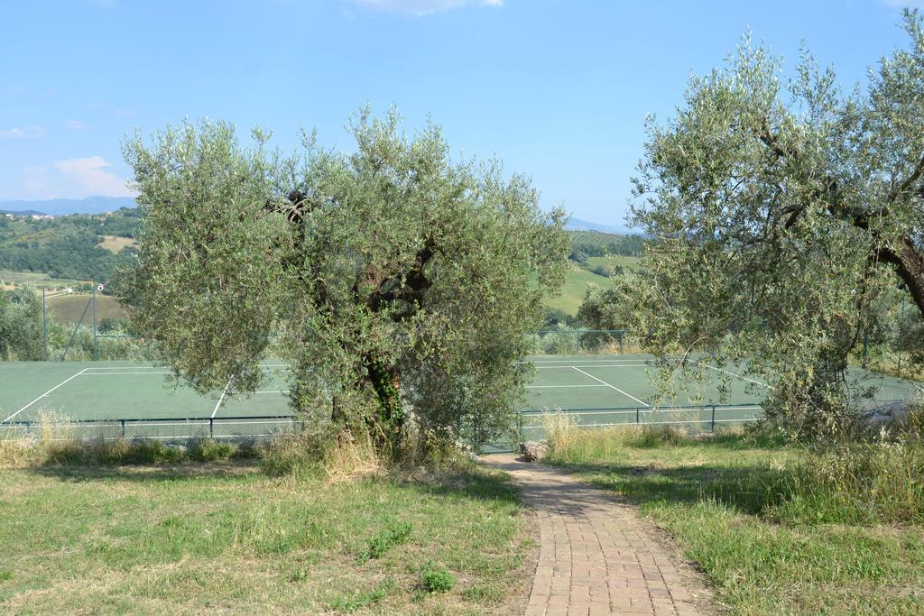 Tenuta Pizzogallo Амелія Екстер'єр фото